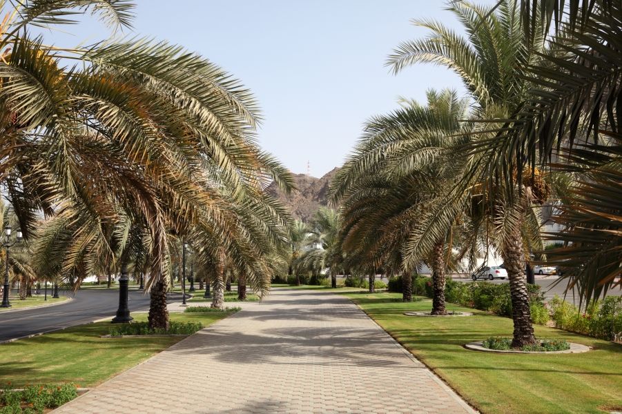 Dentists Oman