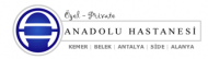 Anatolian Hospital