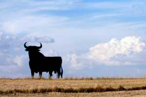 Health and Travel Information for Travelers to Spain