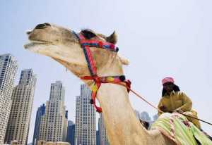 Medical Tourism Middle East, a Region on the Rise