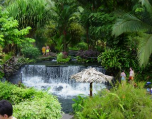 Eco Tourism; Improving the Environoment and Yourself