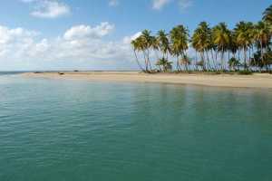 Special Series: Health and Travel Information for Travelers to Dominican Republic