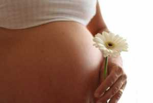 Unprecedented Fertility Success in Russia